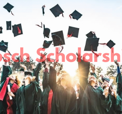The Most Viable Bolivia Scholarships For 2025/2026 Session